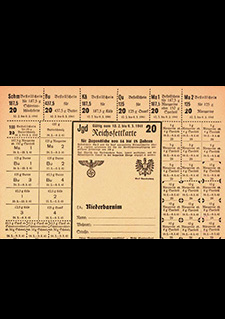 1tes Bild zum Dokument